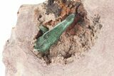 Fibrous Green Malachite Crystals on Matrix - Morocco #184051-1